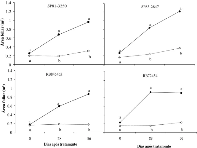 Figura  4.  Área  foliar  de  quatro  cultivares  de  cana-de-açúcar  submetidas  a  regime  hídrico  adequado  (- D,  ──)  e  à  deficiência  hídrica  (+D,  ----),  aos  0,  28,  56  dias  após  o  estabelecimento dos tratamentos