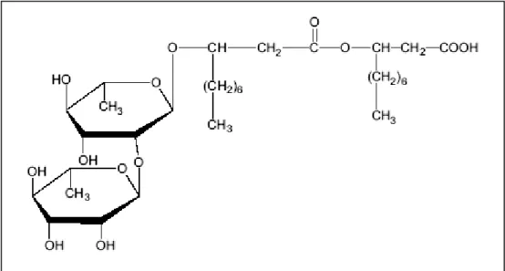 Fig. 3.3 - Estrutura do raminolipídeo tipo I produzido por Pseudomonas aeruginosa  (DESAI e BANAT, 1997) 