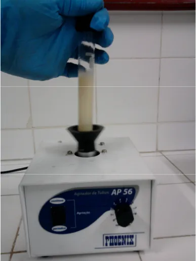 Fig. 4.5 - Agitador de tubos Vortex em análise do índice de emulsificação  (Foto tirada pelo autor) 