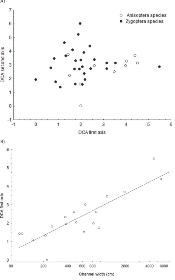 Fig 4. Detrended correspondence analysis for the odonate assemblage in the Pindaiba stream system (A) and the regression of the first DCA axis with channel width (Y = 1.566+0.224*log10(x); R 2 = 0.853; p<0.001).