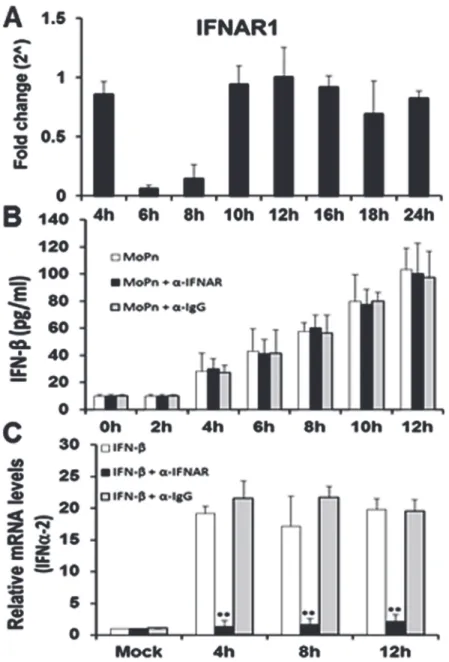 Fig 3. IFNAR1 early gene expression and function during the course of C. muridarum infection