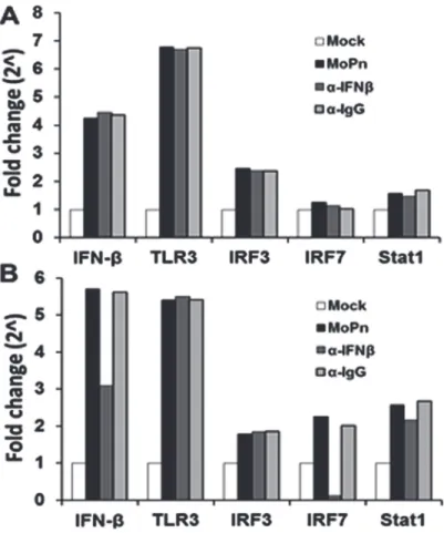 Fig 5. C. muridarum-induced IFN-β affects the gene expression levels of components found in the type-1 IFN signaling pathway