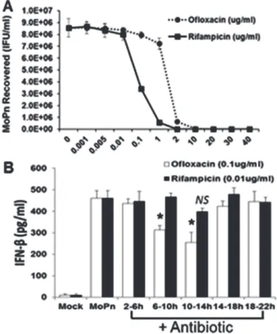 Fig 7. Role of bacterial DNA replication and bacterial transcription in Chlamydia induced IFN-β synthesis