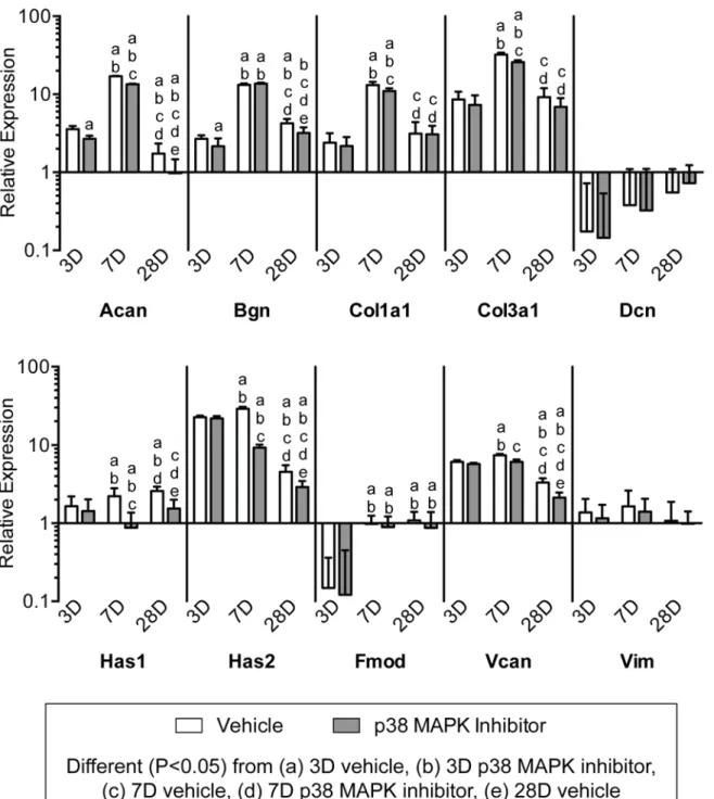 Fig 6. Expression of ECM component genes. Target gene expression was normalized to the stable housekeeping gene beta 2 microglobulin (B2M), and further normalized to plantaris tendons that were not subjected to synergist ablation