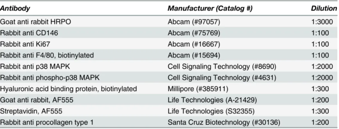 Table 1. Immunoblot and immunohistochemistry detection reagents used in this study.