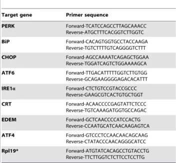 Table 1. Primers used for quantification of UPR signalling pathway genes by real time PCR.
