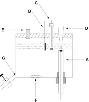 Figura 7: Representação de uma célula BIA: (A) eletrodo de trabalho; (B) eletrodo auxiliar; (C)  eletrodo de referencia; (D) ponteira da micropipeta; (E) orifício para preenchimento da célula; 