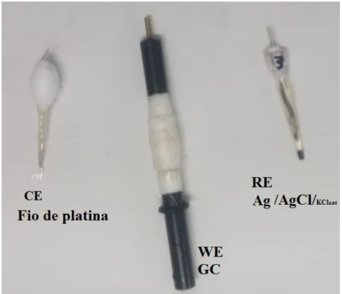 Figura  15:  Eletrodo  auxiliar  (CE  –  fio  de  platina),  eletrodo  de  trabalho  (WE)  e  eletrodo  de  referência, utilizados neste trabalho