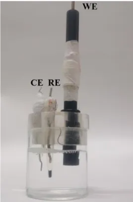 Figura 18: Célula eletroquímica de 10 mL utilizada nos testes voltamétricos. 