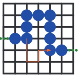 Figure 1. Two-dimensional schematic of the DNA conforma- conforma-tion. The circles denote single DNA blobs