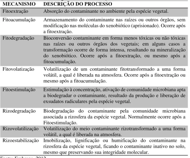 Tabela 1 - Mecanismos biológicos de fitorremediação. 