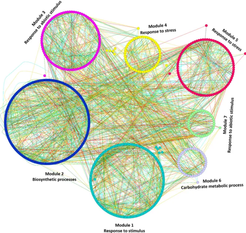 Fig 3. Mapping of enriched GO terms onto the very sub-optimal temperature stress responsive gene co-expression network