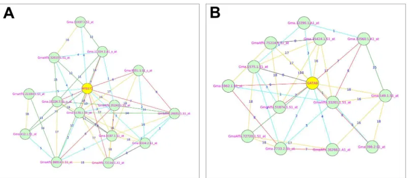 Fig 4. Co-expression relationships of MYB173 and GATA9 transcription factors with their related genes: [A] Shows the co-expression relationships of MYB173 with its related genes