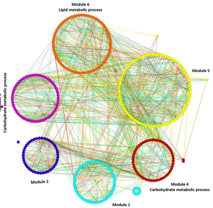 Fig 2. Mapping of enriched GO terms on the sub-optimal temperature stress responsive gene co-expression network