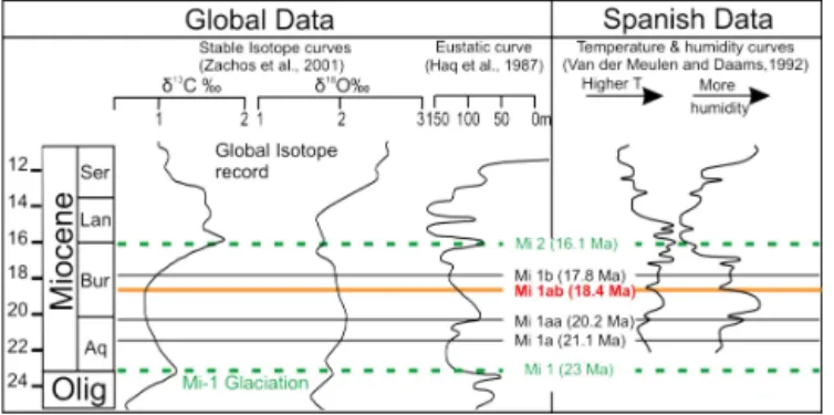 Figure 5. Correlation of the Oligocene–Miocene of the global deep- deep-sea carbon and oxigen isotope curves of Zachos et al