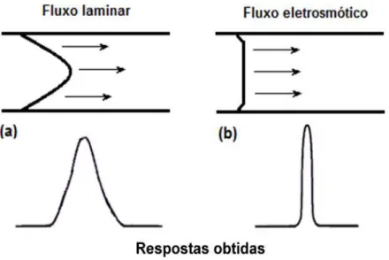 Figura 4 - Perfil de fluxo gerado por pressão (a), típico da técnica HPLC e fluxo gerado  pelo EOF (b), típico na técnica de CE, e suas correspondentes zonas de amostras