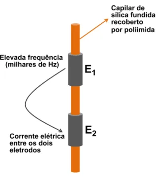Figura  5  –  Esquema  do  sistema  de  detecção  C 4 D.  E1  e  E2  são  os  dois  eletrodos  do  sistema de detecção