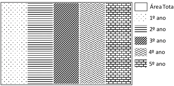 Figura 1 - Evolução anual das áreas, proposta no modelo, para os 5 primeiros anos 