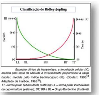 Figura 2- Caracterização da resposta imune celular e carga bacilar de  pacientes utilizada para determinar as formas clínicas conforme a  Classificação de Ridley &amp; Jopling