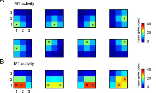 Table 1. Schematic description of the stimulus set used to generate each response data set.