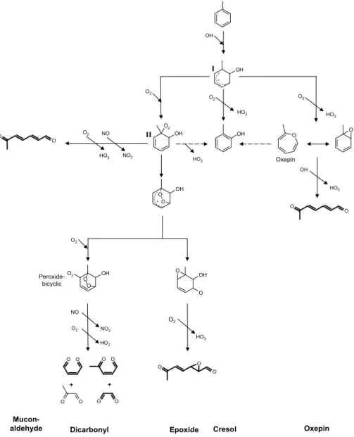 Fig. 1. Initial reaction steps of the OH initiated oxidation of toluene as discussed in current literature