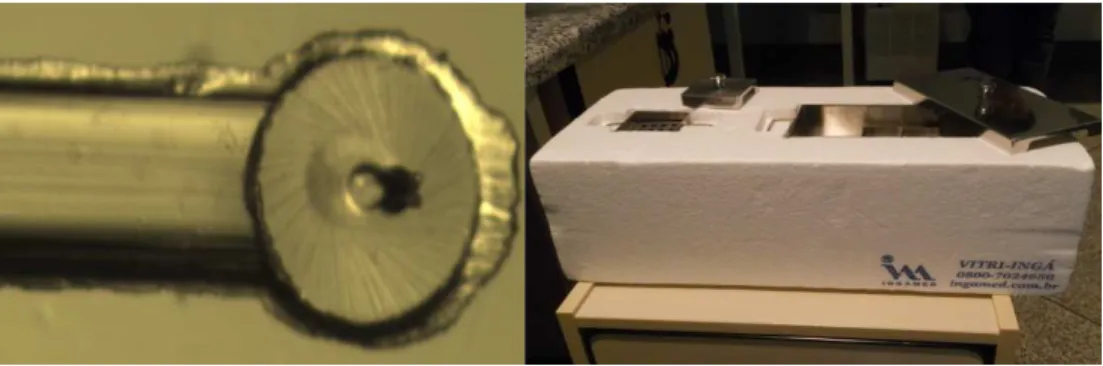 FIGURA 2 - Haste de vitrificação do tipo Cryotop da Ingá-med ®  (esquerda). Caixa de vitrificação de embriões (direita)