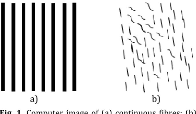 Fig.  1.  Computer  image  of  (a)  continuous  fibres;  (b)  short fibres. 