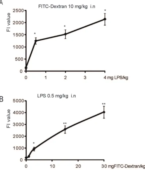 Figure 2. Pulmonary permeability assessed by FITC-Dextran via i.n. instillation. A: Lung permeability assay using 10 mg of FITC-Dextran kg b.w
