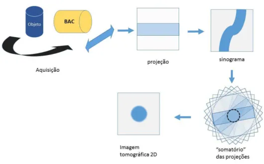 Figura 12: Formação de imagens tomográficas a partir da transformada de Radon pelo sistema  BAC