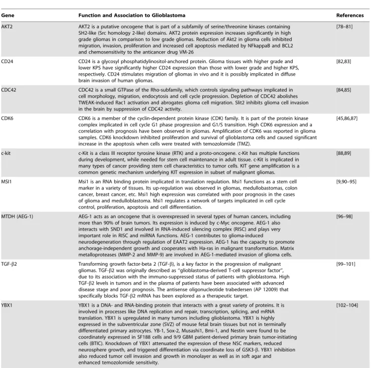 Table 1. Most relevant oncogenes affected by miR-137 transfection with previously described function in gliomagenesis.