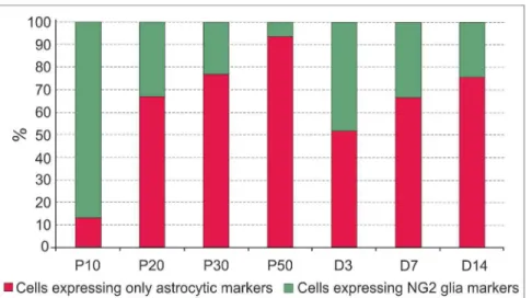 Figure 2. FACS analysis of EGFP + cells isolated from the cortex of 20-day-old mice. EGFP + cells sorted based on EGFP intensity (x axis) and side scatter intensity reflecting cell size (y axis)