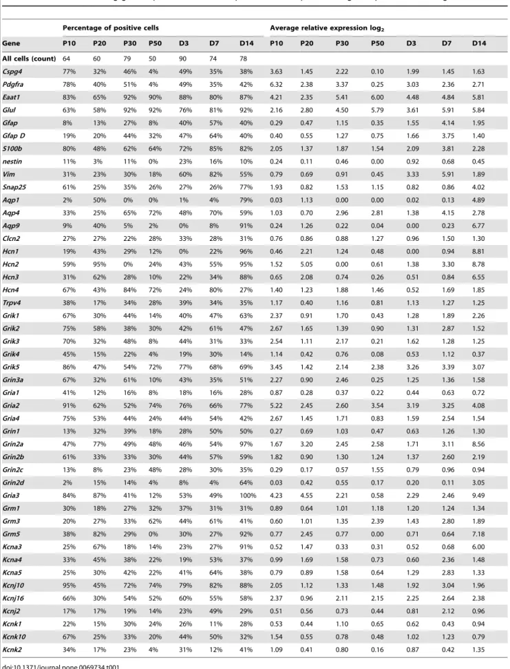 Table 1. Statistics describing gene expression in different postnatal developmental stages or post-ischemic stages.