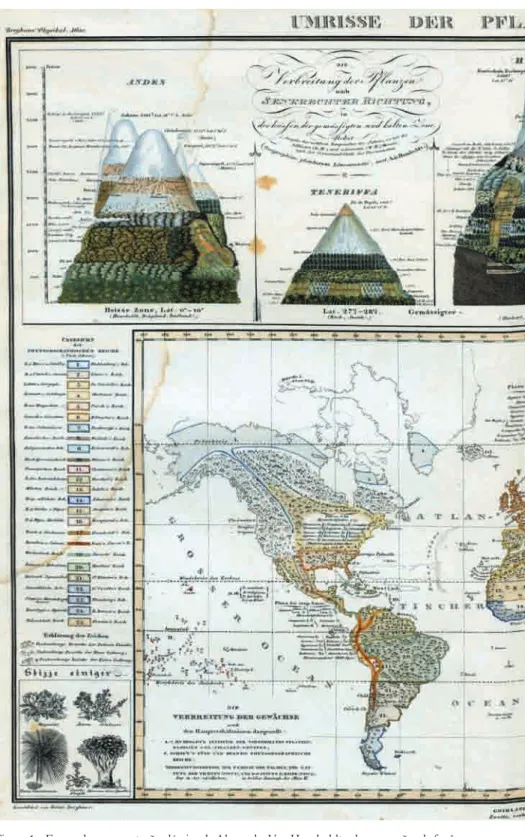 Figura 1 – Forma de representação clássica de Alexander Von Humboldt sobre conexões de fenômenos