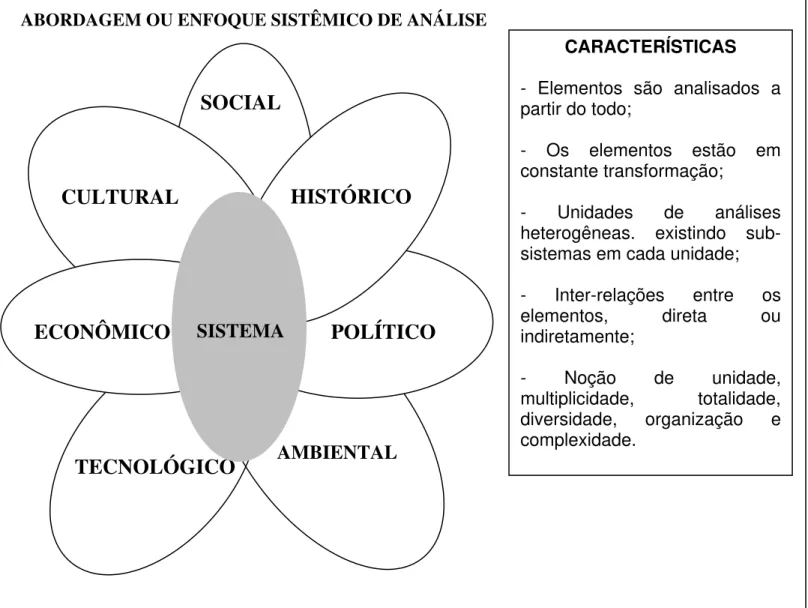 Figura 2- Abordagem sistêmica ou enfoque sistêmico de análise. 