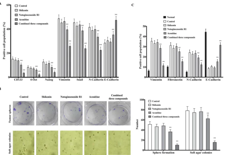 Fig 8. The wound healing microenvironment prevented lung cell malignant transformation