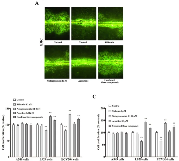 Fig 9. The wound healing microenvironment restored GJIC but did not directly decrease tumor cells