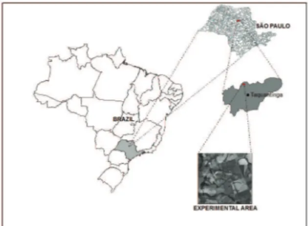 Figure 1. Experimental area in the Córrego da Fazenda Glória watershed in the  municipal district of Taquaritinga, São Paulo state, Brazil 