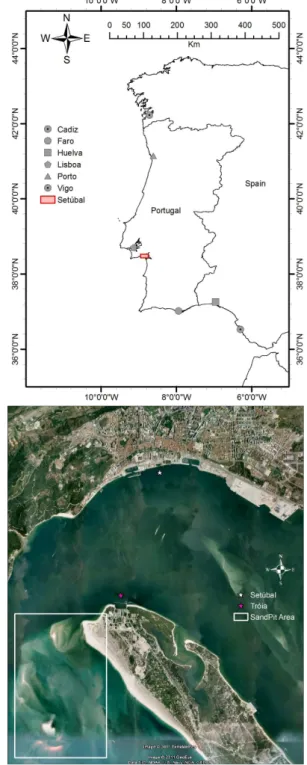 Fig. 1. Location of the test site.