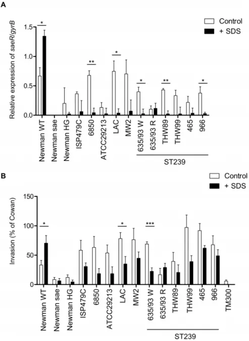 Figure 3. SDS stress affects S. aureus sae signaling in a strain-dependent manner. (A) Relative expression of saeR in relation to gyrB was assessed by qRT–PCR in various clinical isolates and in control strains at late exponential phase of growth