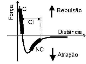 Figura III.5.  Curva esquemática mostrando a dependência da força de interação  sonda-amostra em função da separação entre elas [CHINAGLIA, 2002]