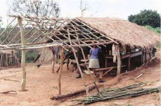 Figura 5: Moradia tradicional kaiowá/guarani, em construção. Aldeia Jarara. 