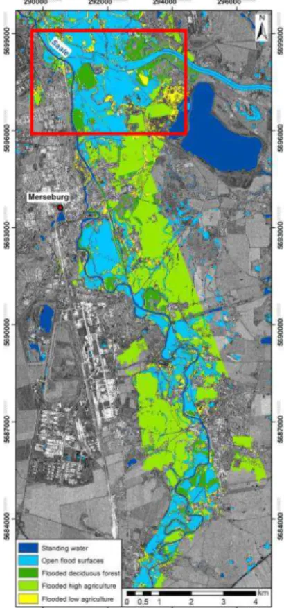 Figure 4. Results of flooded vegetation classification (three  classes) produced by designed algorithm based on fuzzy logic 