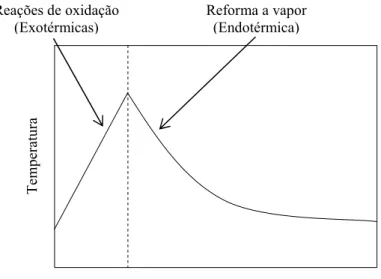 Figura 3.2 Perfil de temperatura típico de um reator de reforma autotérmica (Gudlavalleti et  al., 2007)