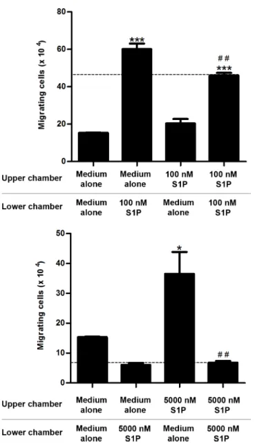 Fig 5. S1P-induced migratory responses in checkerboard assays. CEM cells were serum-starved for 2 h, applied to Transwell™ chambers containing different S1P concentrations in a checkerboard format and incubated for 4 hours