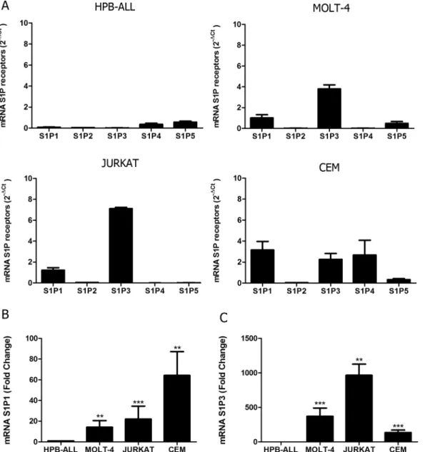 Fig 1. S1P receptors mRNA expression in human T-ALL blasts. (A) Bars show S1P receptors mRNA expression analyzed by real time quantitative PCR, compared with the control Abelson (Abl) gene (2 -ΔCt ) in T-ALL (n = 1–2, with 3–6 biological replicates)