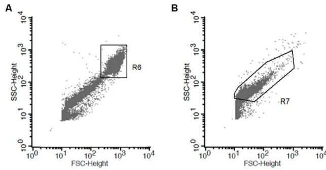 Figure  1.   A.  Scattering  profile  of  a  vaginal  sample  resembling  the  findings  of  Schellenberg et al
