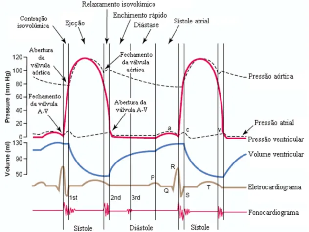 Figura 2.12 – Eventos do ciclo cardíaco na função ventricular esquerda (Modificado de GUYTON, HALL,  2006)
