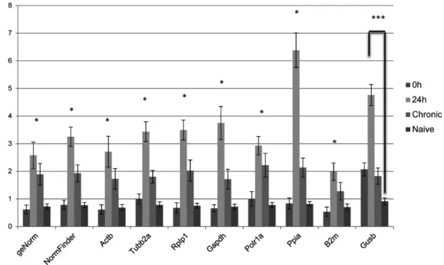 Figure 4. Relative quantities of Gfap in the hippocampus of systemic PILO injected rats upon different normalization approaches.