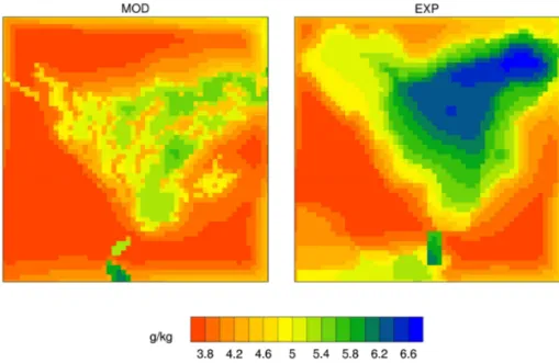 Fig. 4. 2 m specific humidity of the two simulations (the same time as Fig. 3).