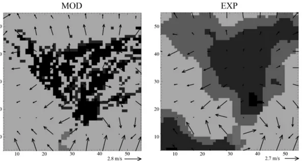 Fig. 6. Horizontal winds at 850 hPa in Jinta oasis for the two simulations (the same time as Fig